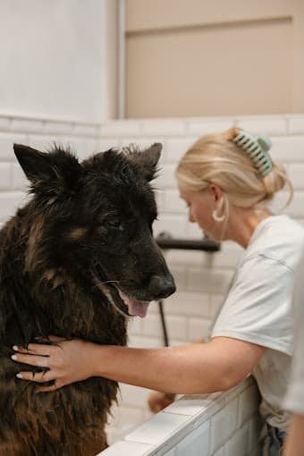 Verzorging in de Dogspa